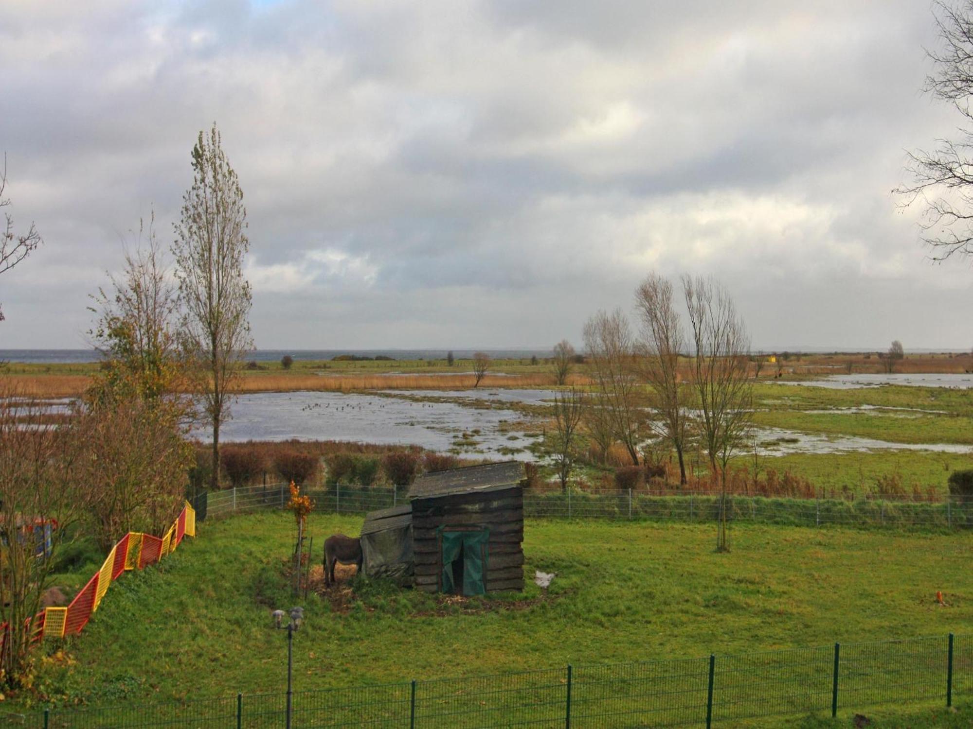Holiday Complex Schuldt Behrensdorf Exteriér fotografie